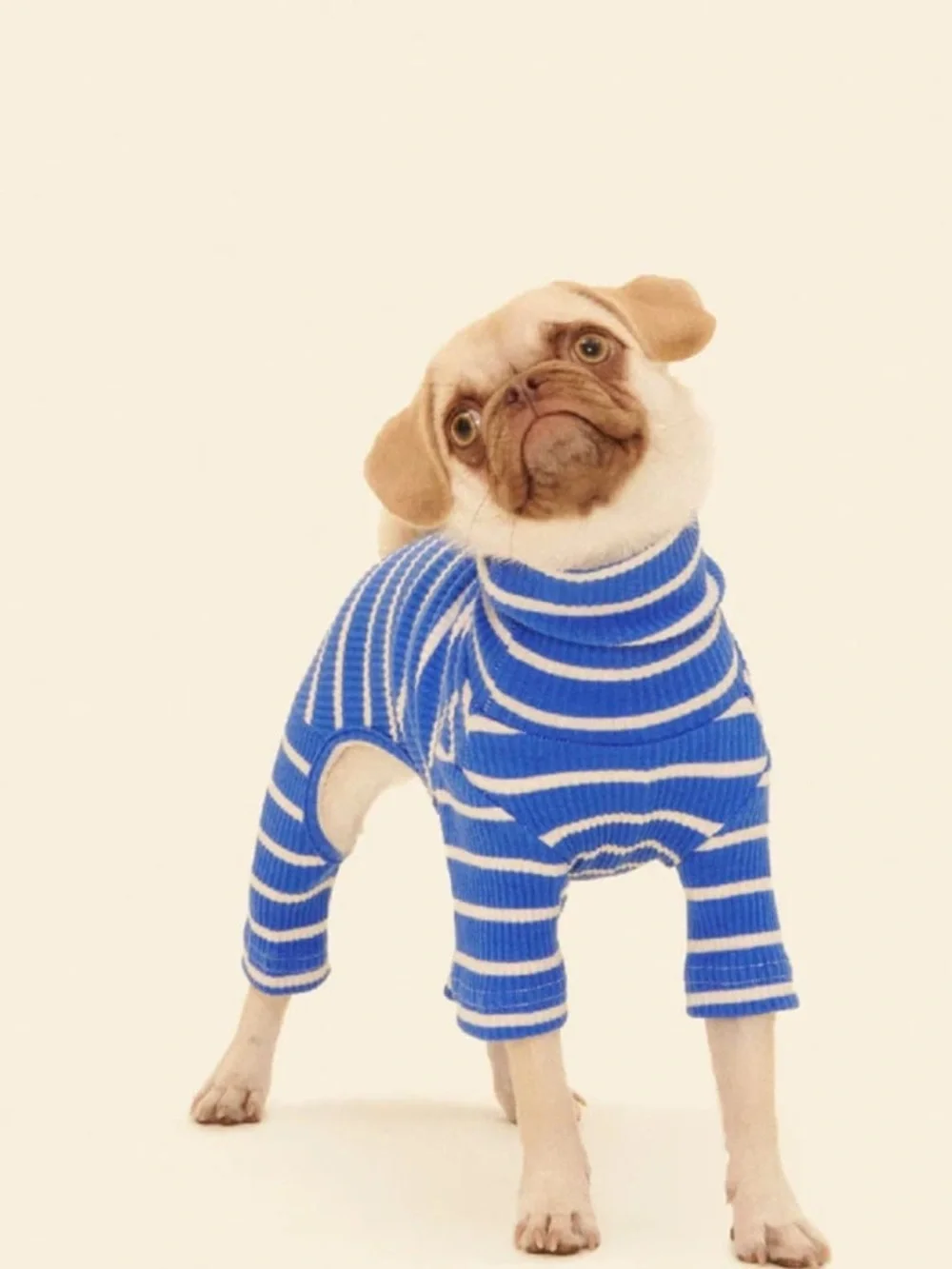 Little Beast ‘Greek To Me’ Blue & White Striped Dog Onesie XXS